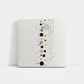 Black Gold Circles Abstract Geometric Beige Art